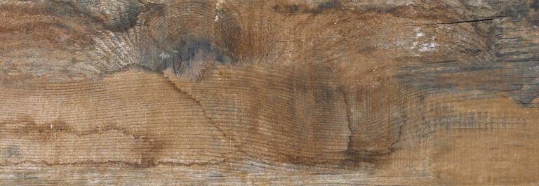 PARK-ARIZONA-FR-M1L3-C2-T4-M40P10-rotated