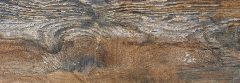 PARK-ARIZONA-FR-M1L3-C2-T4-M40P12-rotated